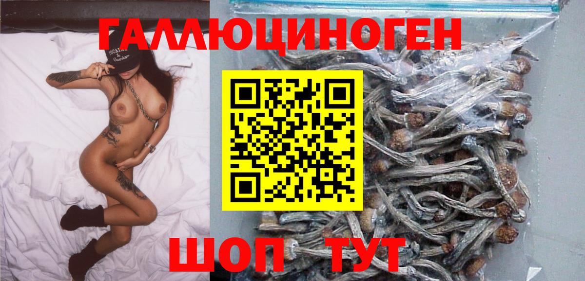 Галлюциногенные грибы Psilocybe  Вход с VPN  Ноябрьск 